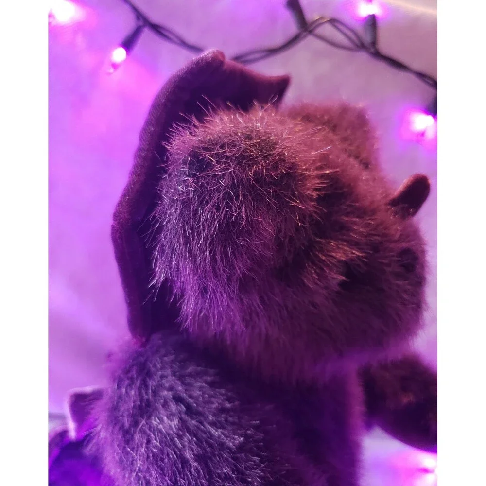 VTG Vermont Teddy Bear Co. PURPLE Jointed Bearanimal Plush The Dinobear RARE
